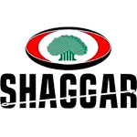 Shaggar City